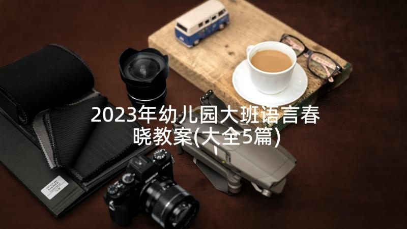 2023年幼儿园大班语言春晓教案(大全5篇)