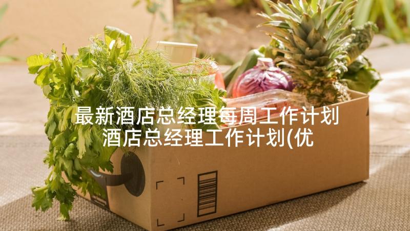 最新酒店总经理每周工作计划 酒店总经理工作计划(优质6篇)