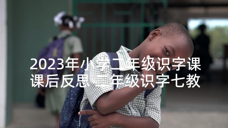 2023年小学二年级识字课课后反思 二年级识字七教学反思(实用5篇)