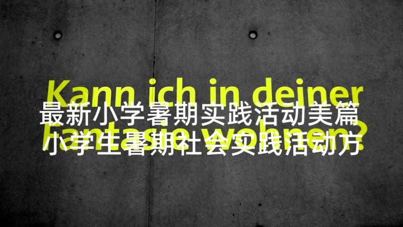 最新小学暑期实践活动美篇 小学生暑期社会实践活动方案(实用9篇)