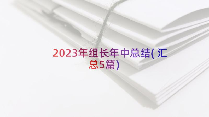 2023年组长年中总结(汇总5篇)