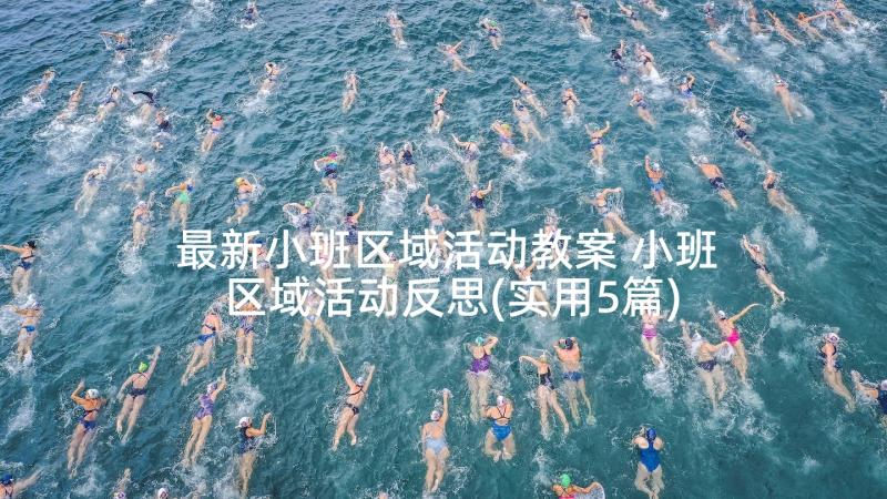 最新小班区域活动教案 小班区域活动反思(实用5篇)