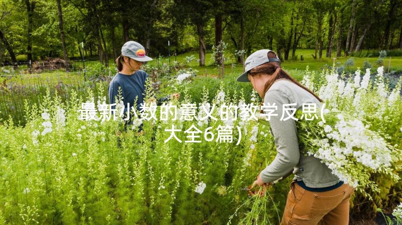 最新小数的意义的教学反思(大全6篇)