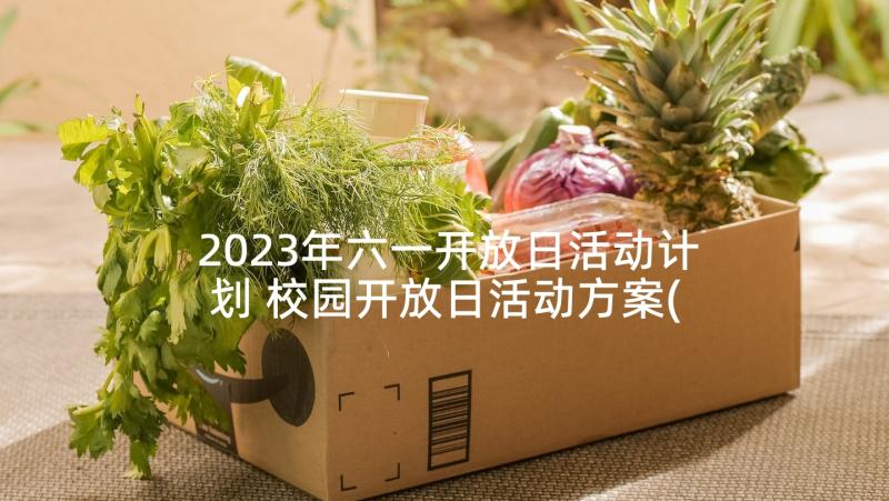 2023年六一开放日活动计划 校园开放日活动方案(模板6篇)