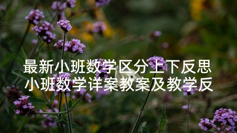 最新小班数学区分上下反思 小班数学详案教案及教学反思上下(模板5篇)