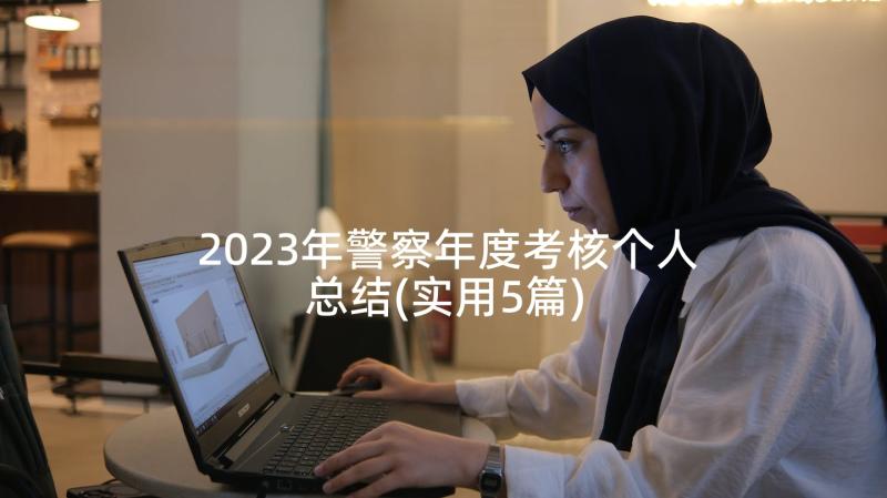 2023年警察年度考核个人总结(实用5篇)