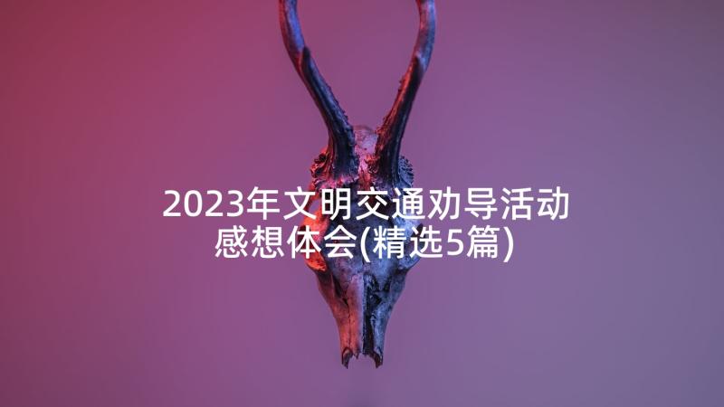 2023年文明交通劝导活动感想体会(精选5篇)