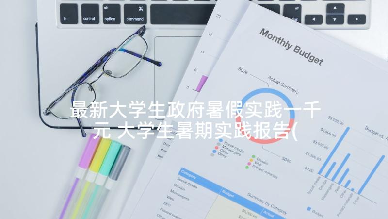 最新大学生政府暑假实践一千元 大学生暑期实践报告(大全10篇)