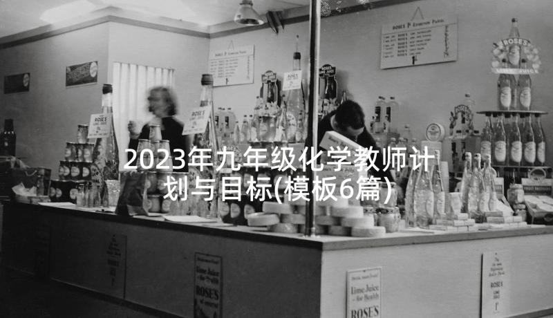 2023年九年级化学教师计划与目标(模板6篇)