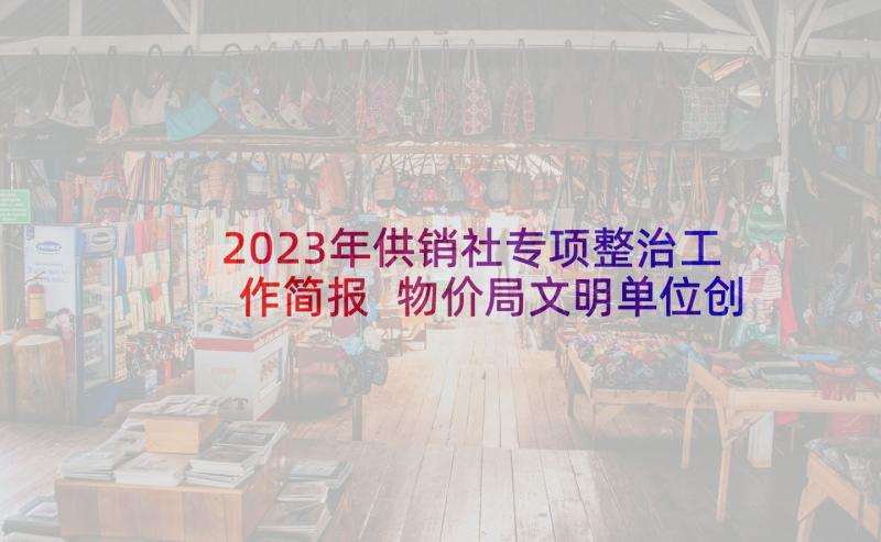 2023年供销社专项整治工作简报 物价局文明单位创建自查报告书(大全5篇)