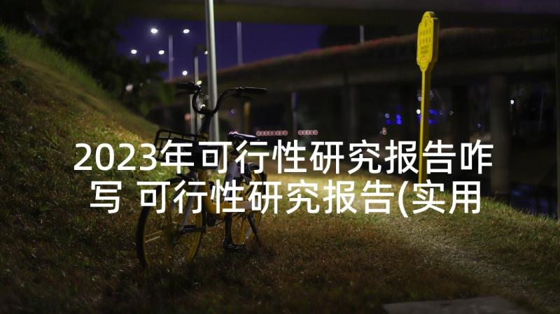 2023年可行性研究报告咋写 可行性研究报告(实用6篇)