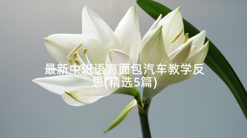 最新中班语言面包汽车教学反思(精选5篇)