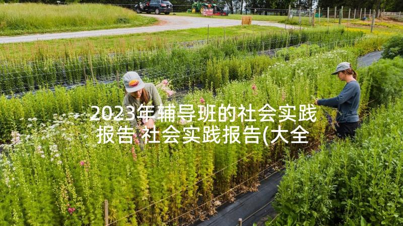 2023年辅导班的社会实践报告 社会实践报告(大全5篇)