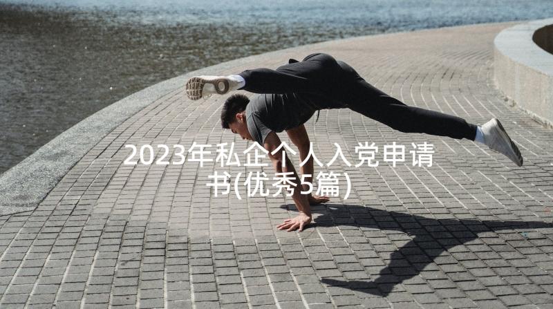 2023年私企个人入党申请书(优秀5篇)