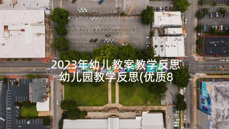 2023年幼儿教案教学反思 幼儿园教学反思(优质8篇)