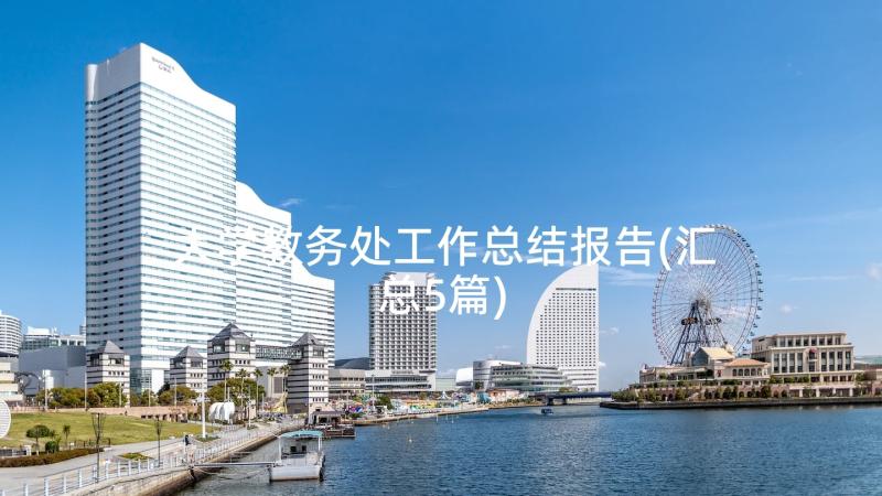 大学教务处工作总结报告(汇总5篇)