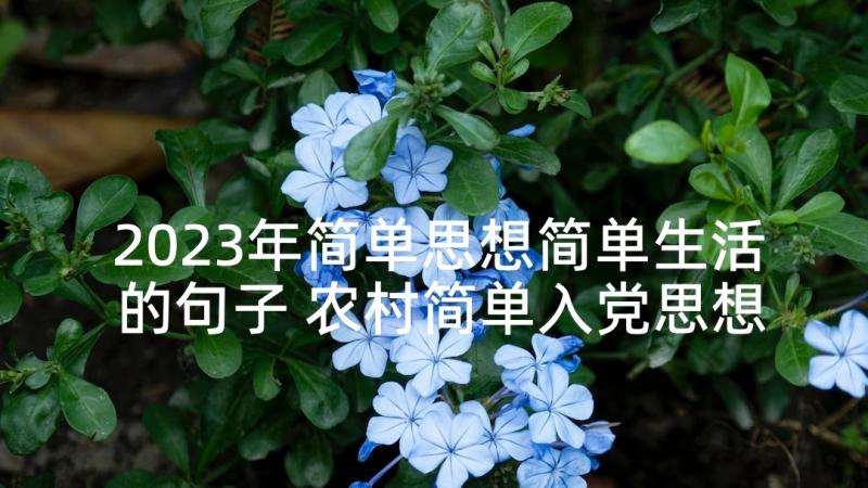 2023年简单思想简单生活的句子 农村简单入党思想汇报入党思想汇报(大全5篇)