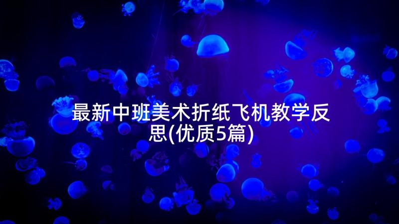 最新中班美术折纸飞机教学反思(优质5篇)