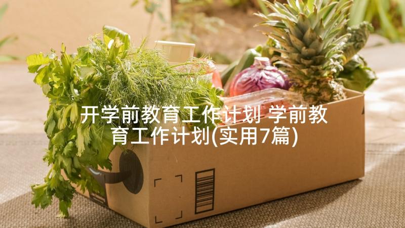 开学前教育工作计划 学前教育工作计划(实用7篇)