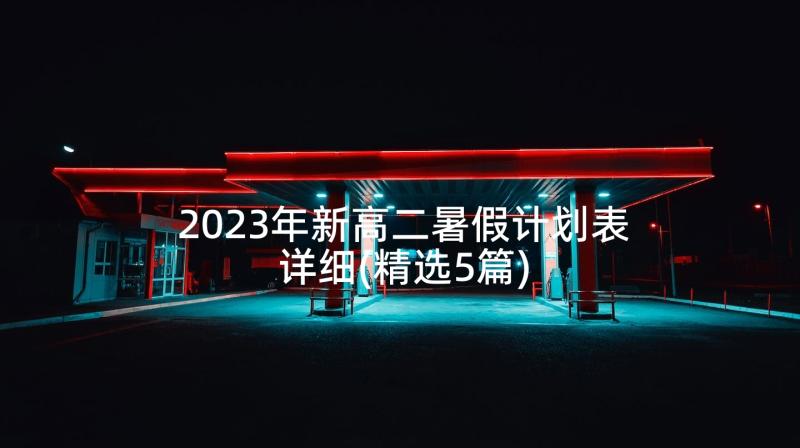 2023年新高二暑假计划表详细(精选5篇)