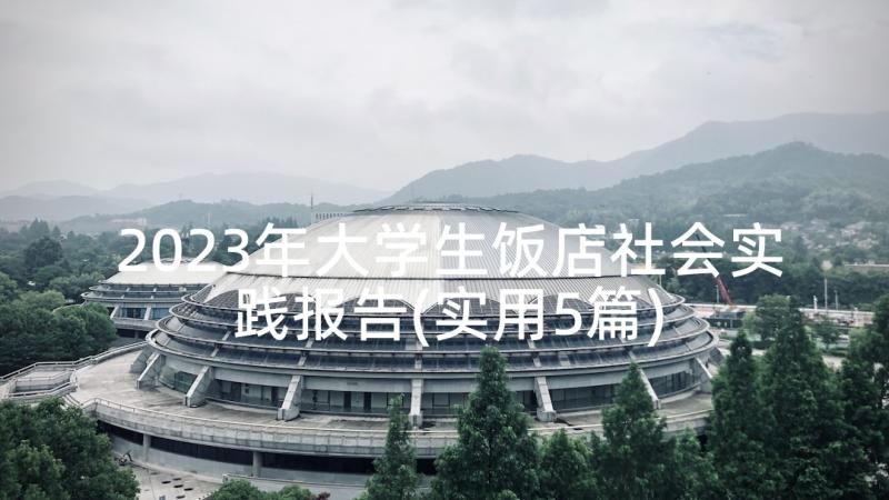 2023年大学生饭店社会实践报告(实用5篇)