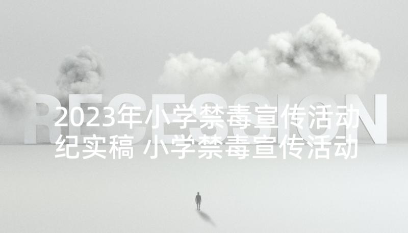 2023年小学禁毒宣传活动纪实稿 小学禁毒宣传活动方案(模板5篇)