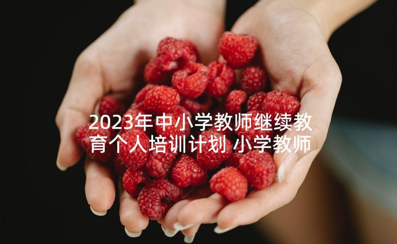 2023年中小学教师继续教育个人培训计划 小学教师继续教育个人学习计划(大全6篇)