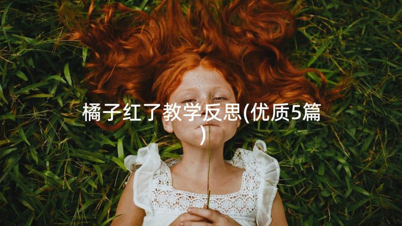 橘子红了教学反思(优质5篇)