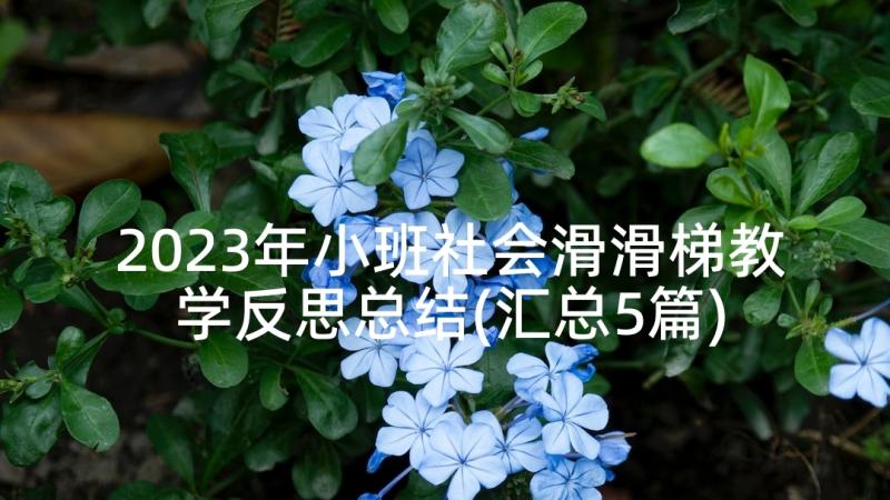 2023年小班社会滑滑梯教学反思总结(汇总5篇)