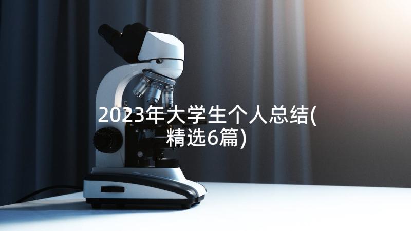 2023年大学生个人总结(精选6篇)