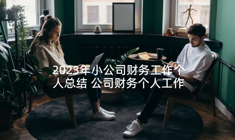 2023年小公司财务工作个人总结 公司财务个人工作总结(大全8篇)