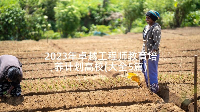 2023年卓越工程师教育培养计划高校(大全5篇)