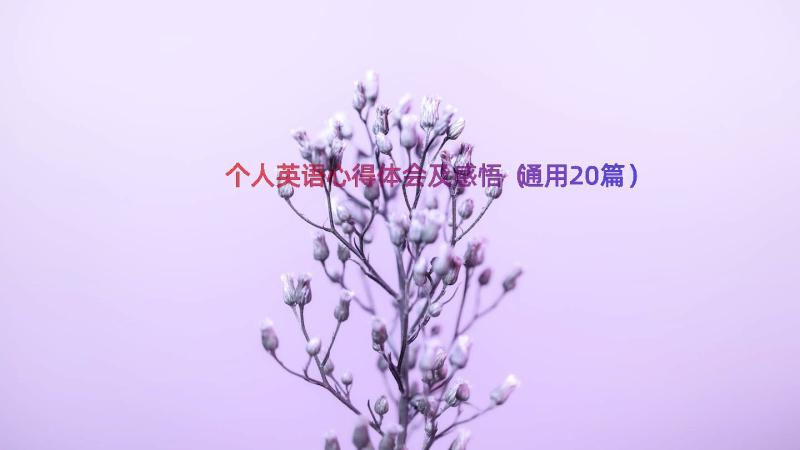 个人英语心得体会及感悟（通用20篇）