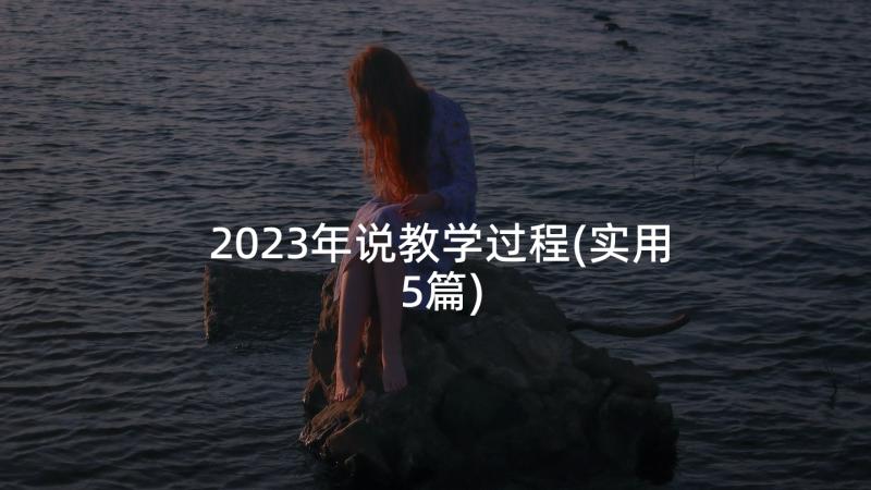 2023年说教学过程(实用5篇)