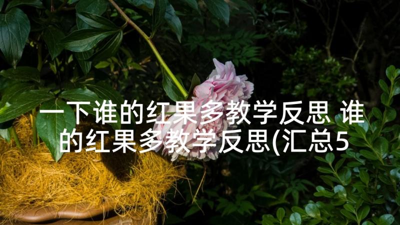 一下谁的红果多教学反思 谁的红果多教学反思(汇总5篇)