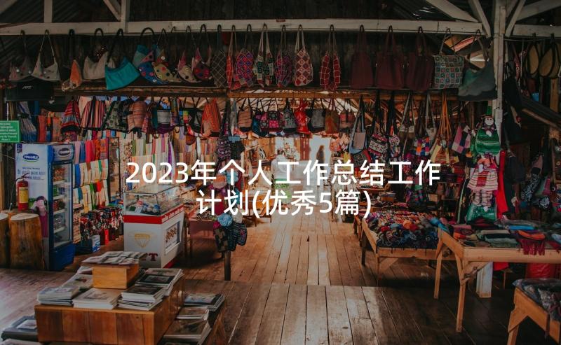 2023年个人工作总结工作计划(优秀5篇)