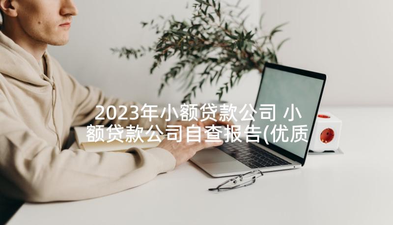 2023年小额贷款公司 小额贷款公司自查报告(优质5篇)