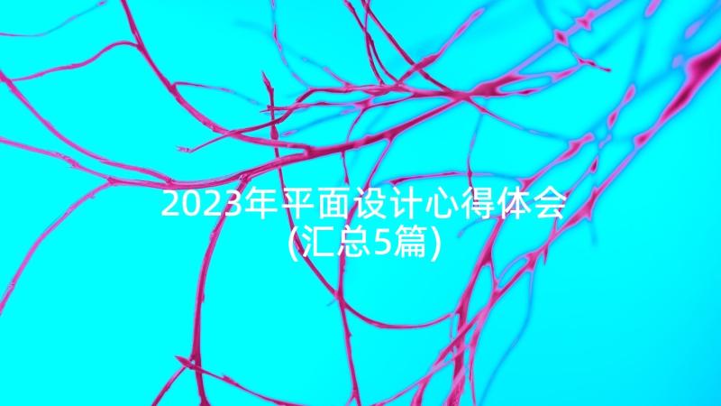 2023年平面设计心得体会(汇总5篇)