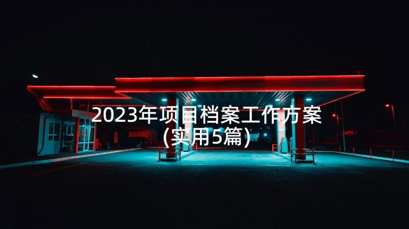 2023年项目档案工作方案(实用5篇)