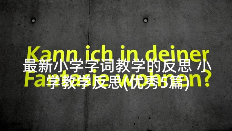 最新小学字词教学的反思 小学教学反思(优秀5篇)