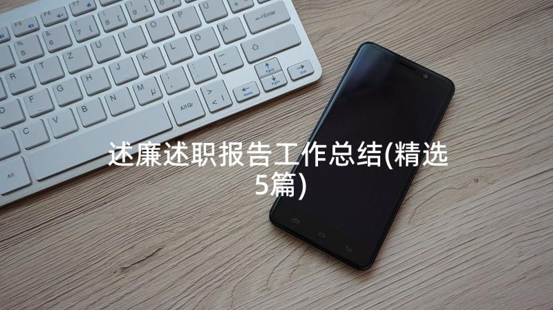 述廉述职报告工作总结(精选5篇)