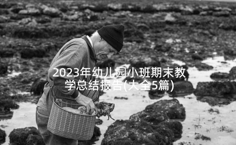 2023年幼儿园小班期末教学总结报告(大全5篇)