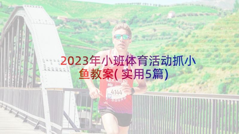 2023年小班体育活动抓小鱼教案(实用5篇)