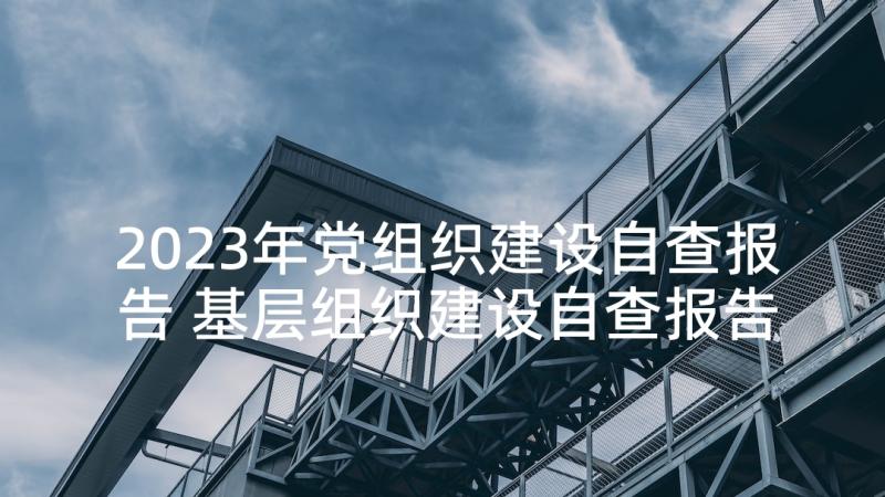 2023年党组织建设自查报告 基层组织建设自查报告(汇总5篇)