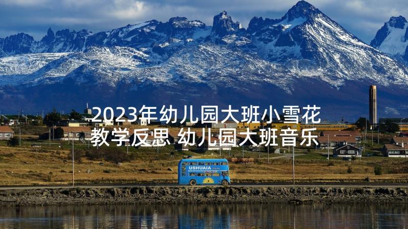 2023年幼儿园大班小雪花教学反思 幼儿园大班音乐小雪花教案(实用5篇)