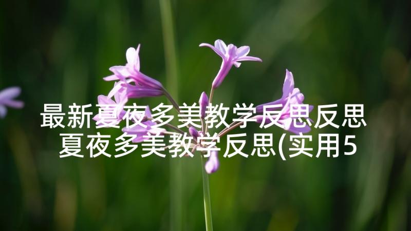 最新夏夜多美教学反思反思 夏夜多美教学反思(实用5篇)