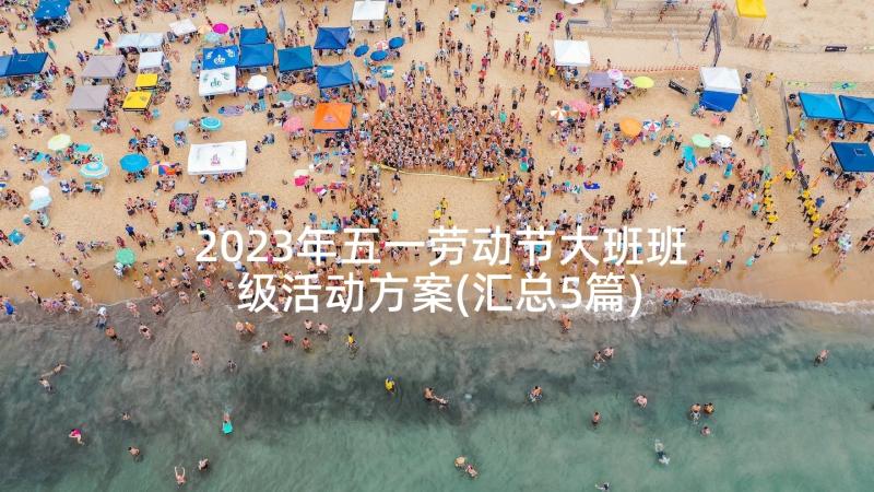 2023年五一劳动节大班班级活动方案(汇总5篇)