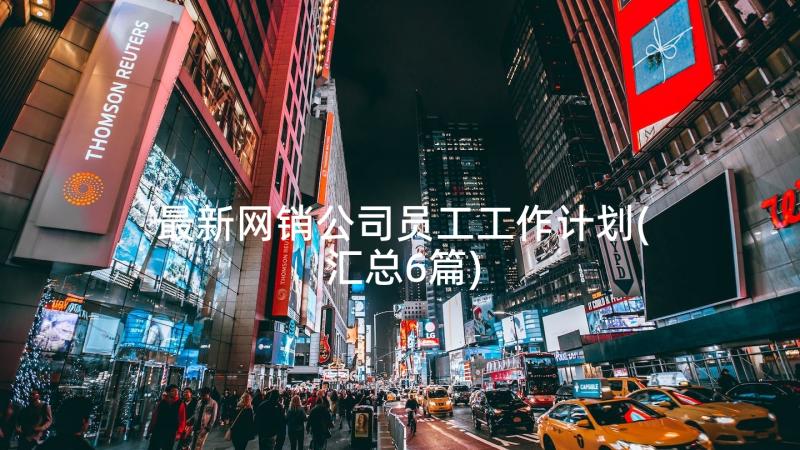 最新网销公司员工工作计划(汇总6篇)