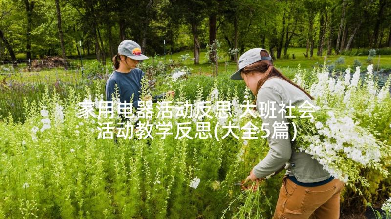 家用电器活动反思 大班社会活动教学反思(大全5篇)