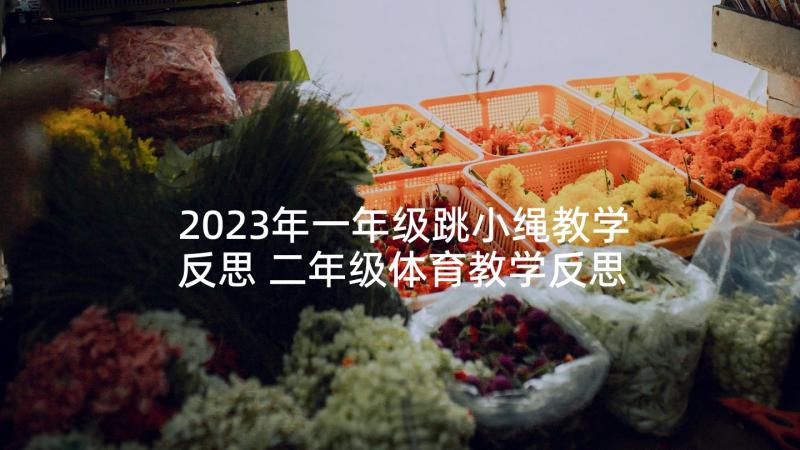 2023年一年级跳小绳教学反思 二年级体育教学反思(大全5篇)